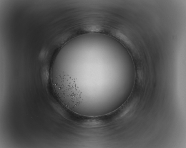X0000089830541200706281213