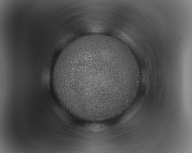 X0000089830542200706281213