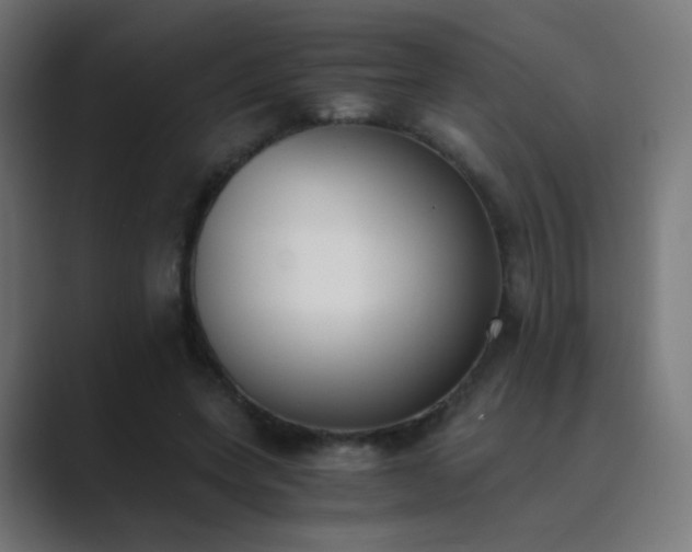 X0000089830543200706281213
