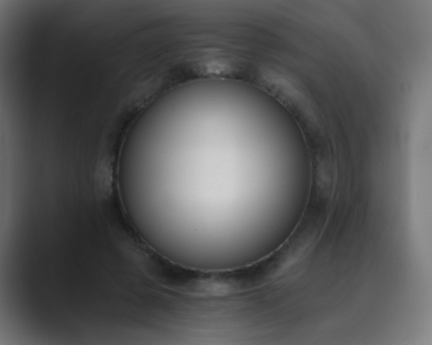 X0000089830545200706281213