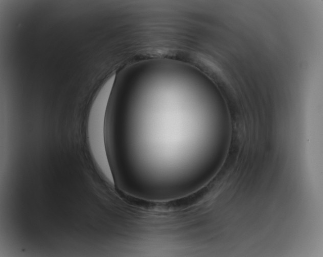 X0000089830546200706281213