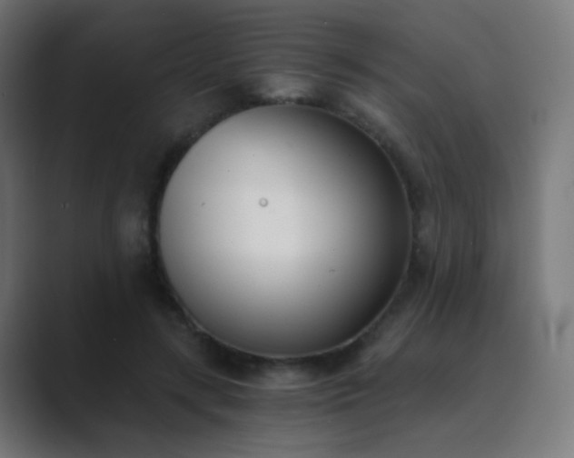 X0000089830547200706281213