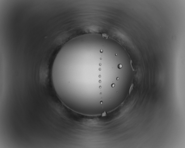 X0000089830548200706281213