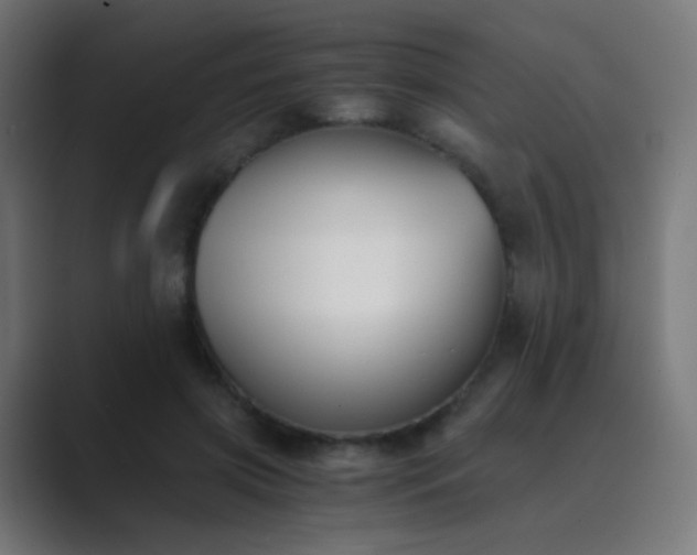 X0000089830549200706281213