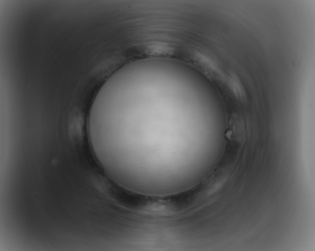 X0000089830550200706281213