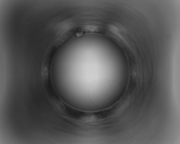X0000089830551200706281213