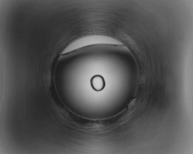 X0000089830552200706281213