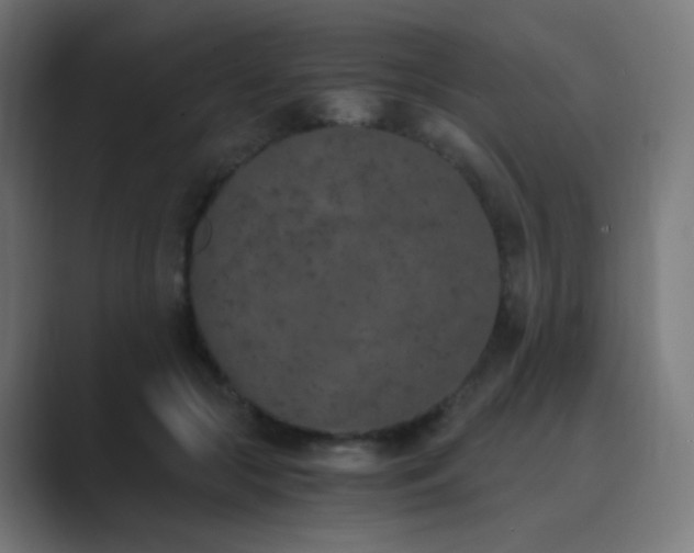 X0000089830553200706281213