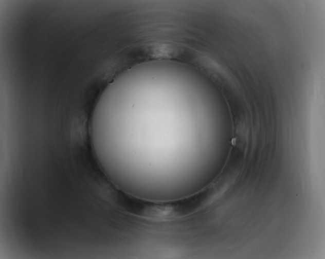 X0000089830554200706281213