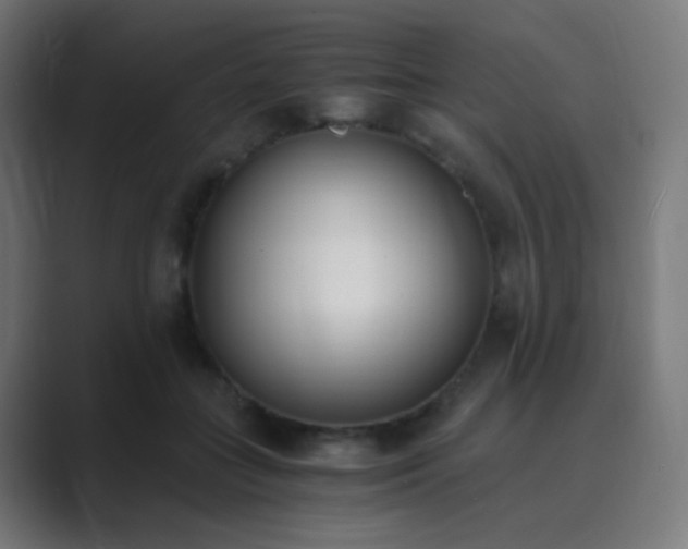 X0000089830555200706281214