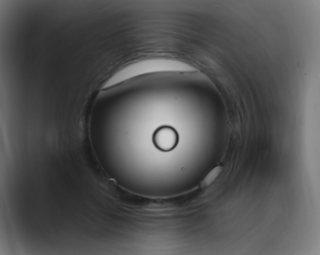 X0000089830556200706281214