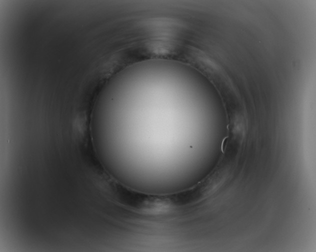 X0000089830559200706281214