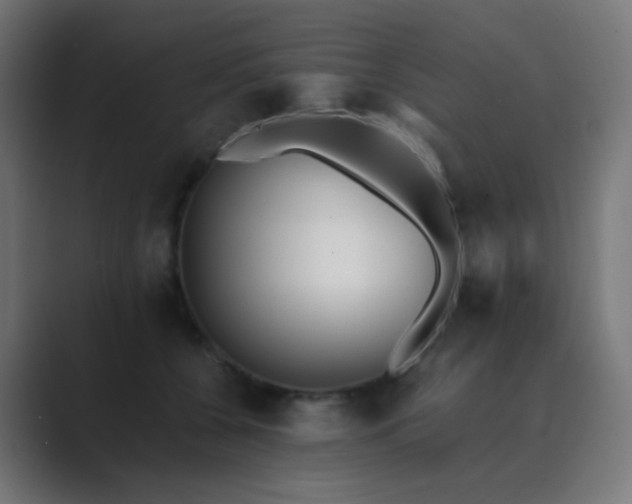 X0000089830560200706281214