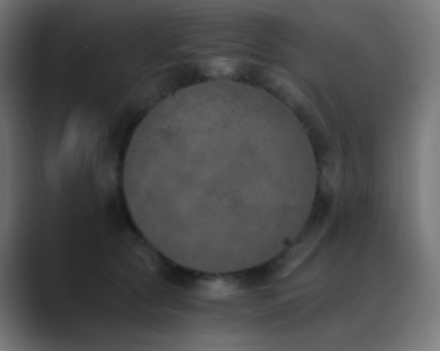 X0000089830561200706281214