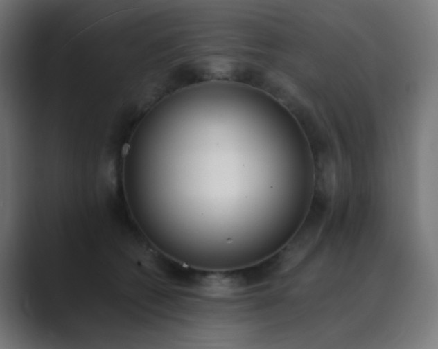 X0000089830562200706281214