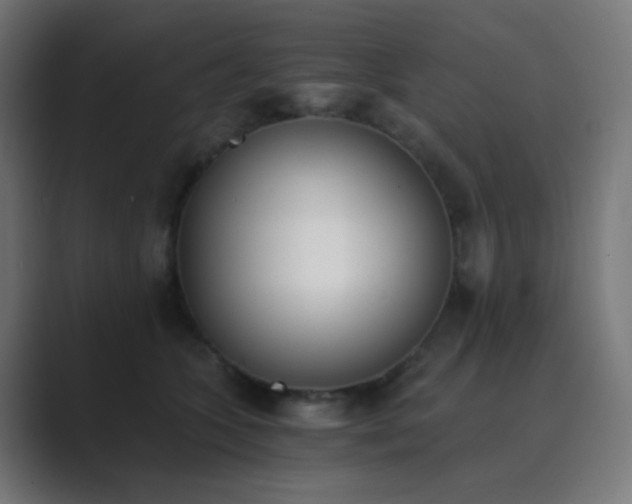 X0000089830563200706281214