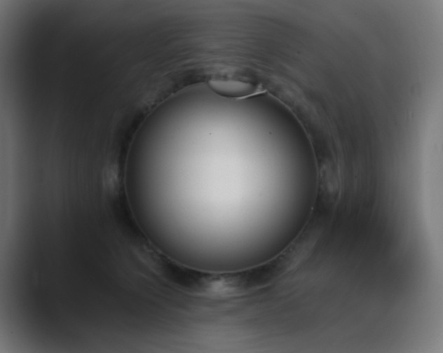 X0000089830564200706281214