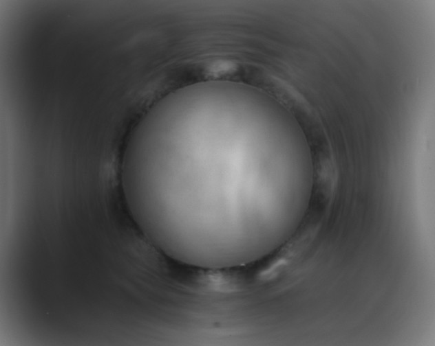 X0000089830565200706281214