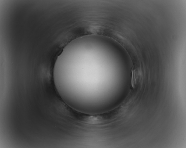X0000089830566200706281214