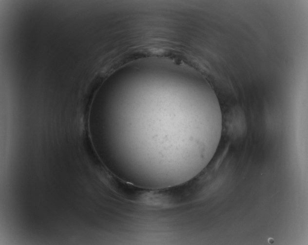 X0000089830568200706281214