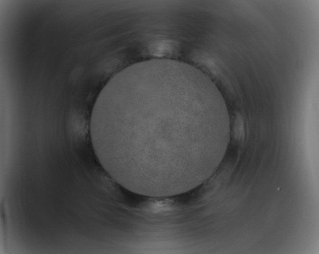 X0000089830569200706281214