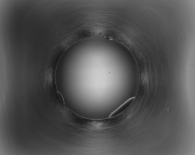 X0000089830570200706281214