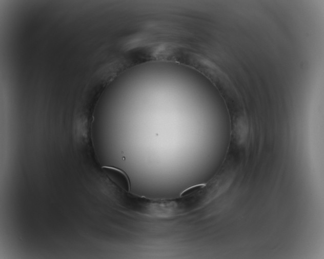 X0000089830571200706281214
