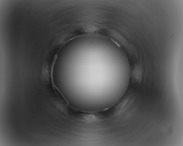 X0000089830572200706281214