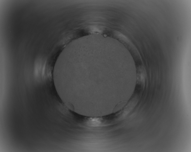 X0000089830573200706281214