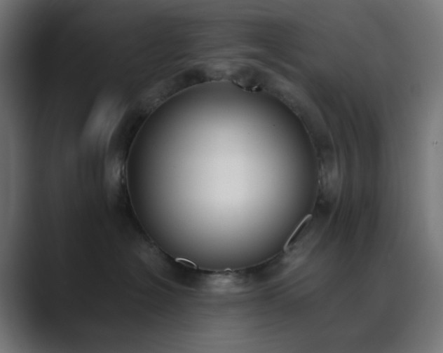 X0000089830574200706281214