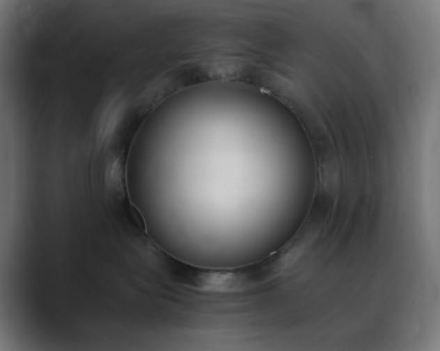X0000089830575200706281214
