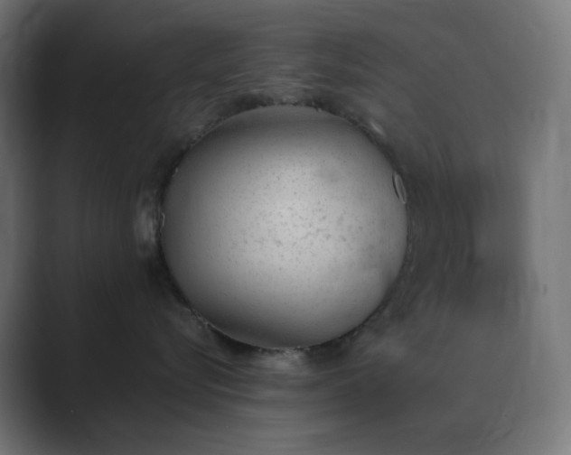 X0000089830576200706281214