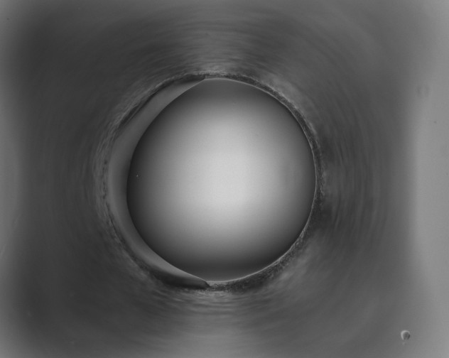 X0000089830577200706281213