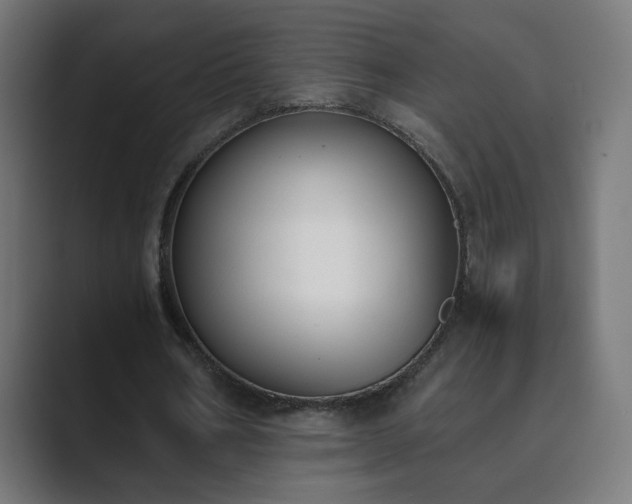 X0000089830578200706281213