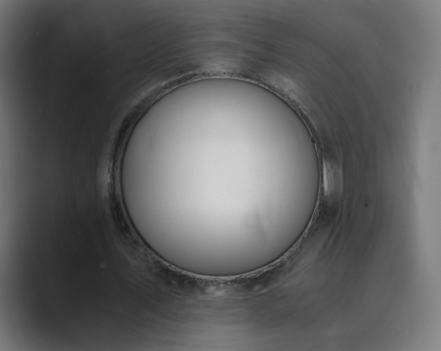 X0000089830579200706281213