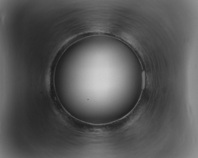 X0000089830580200706281213
