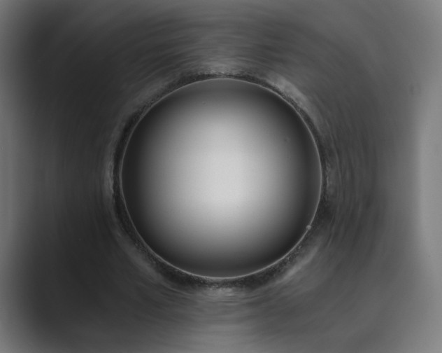 X0000089830581200706281213