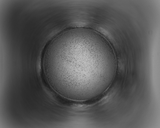 X0000089830582200706281213