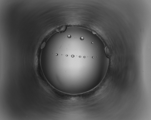 X0000089830584200706281213