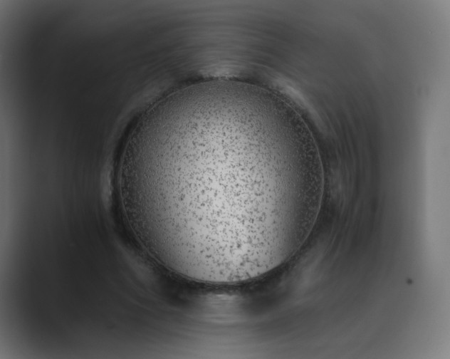 X0000089830586200706281213