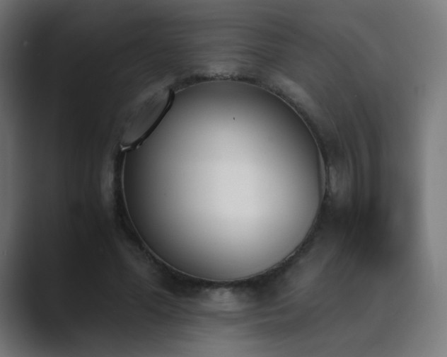 X0000089830588200706281213