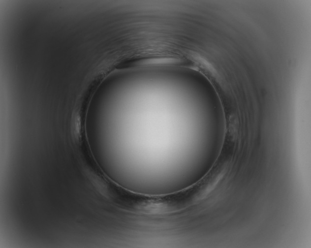 X0000089830589200706281213