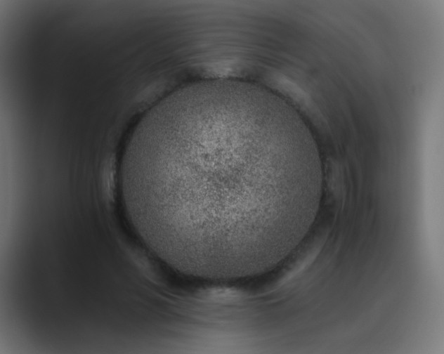 X0000089830590200706281213