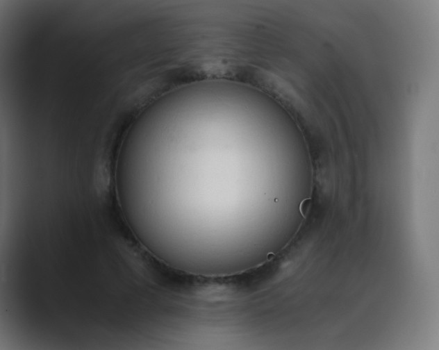 X0000089830593200706281213