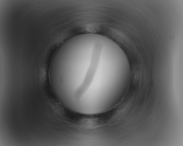 X0000089830595200706281213