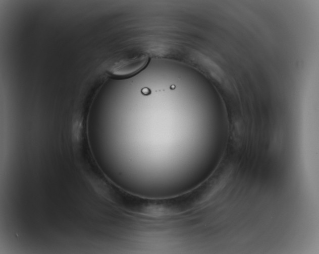 X0000089830596200706281213