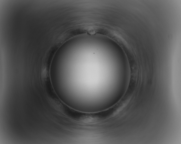 X0000089830597200706281213