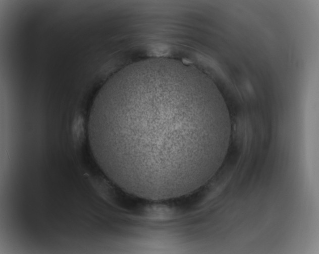 X0000089830598200706281213