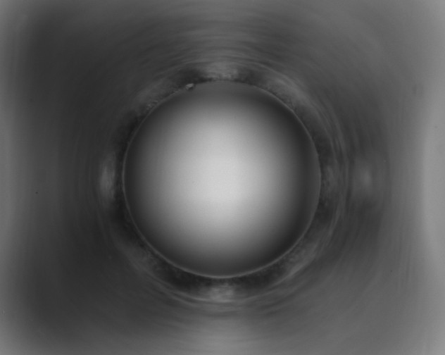 X0000089830600200706281213