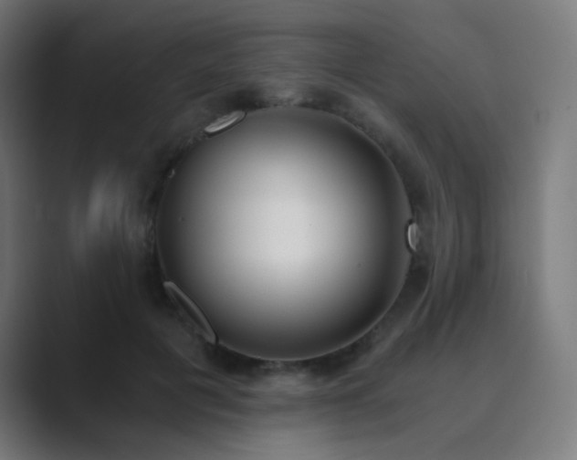 X0000089830601200706281213